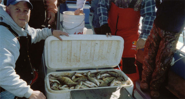 Another Cooler of Lake Erie Yellow Perch