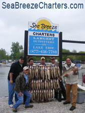 WalleyeCatch Dockside Board