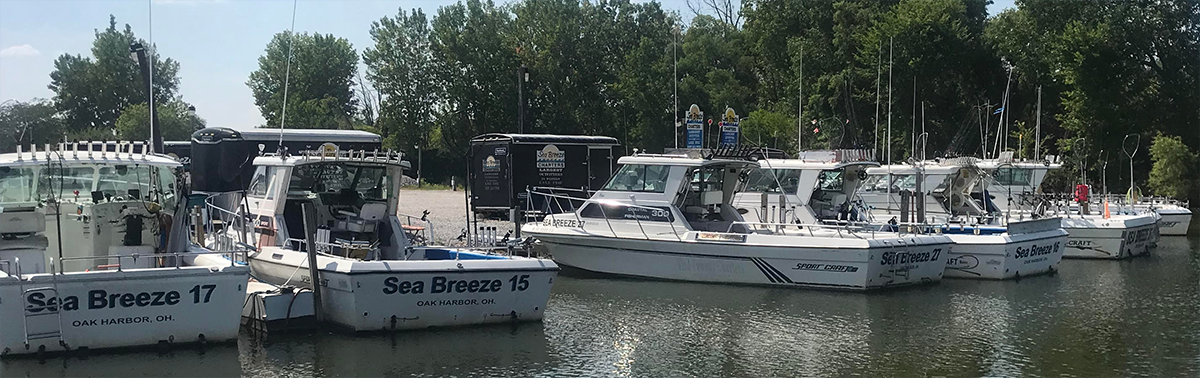 Lake Erie Fishing Charters - Port Clinton - Sea Breeze Charters